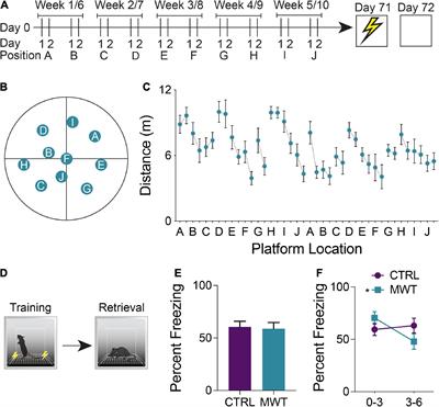 Brain-wide neuronal activation and functional connectivity are modulated by prior exposure to repetitive learning episodes